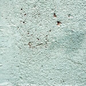 paint damage from sunlight