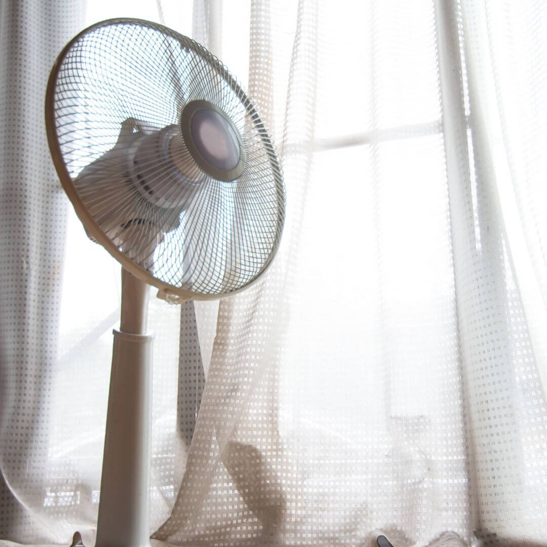 fan and window